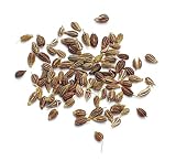 Anise Seed - 15 Oz Jar Each