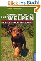 Grunderziehung f�r Welpen: Fichtlmeiers Hundeschule