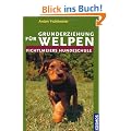 Grunderziehung f�r Welpen: Fichtlmeiers Hundeschule