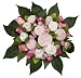 The Baby Bunch Large Bunch Pink 0 to 6 Months