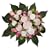 The Baby Bunch Large Bunch Pink 0 to 6 Months
