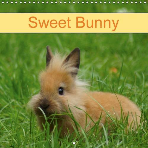 Sweet Bunny 2016: Rabbits and Pets (Calvendo Animals)