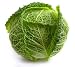 Savoy Cabbage - 18