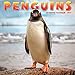 Penguins 2017 Wall Calendar