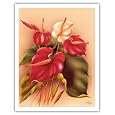BUY : Hawaiian Red & White Anthuriums c.1940s by Frank Oda - Vintage Hawaiian Fine Art Print - 11" x 14"
