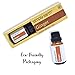 Simply Earth Ginger Essential Oil by (Ginger Root) - 15 ml, 100% Pure Therapeutic Grade