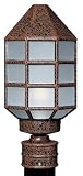 3137 Outdoor Lighting Post in Rust