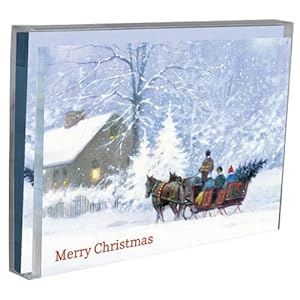 Tree-Free Greetings Sleigh Bells Ring Holiday Boxed Cards, 5 x 7 Inches, 12 Cards and Envelopes per Set, Multi-Color (91172)