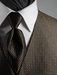 Tuxedo Vests - Venetian Vest Champagne including Matching Windsor Band Tie