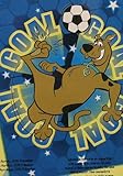 Disney Scooby Soccer Goal Twin Blanket