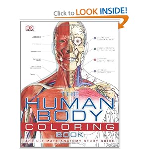 Human Body Coloring Sheets Human Body Coloring Sheets