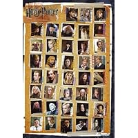 Harry Potter - Part 1-7 - Movie Poster (All Characters) (Size: 24 x 36)