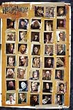 Harry Potter 7 The Deathly Hallows Characters Maxi Poster 61x91.5cm