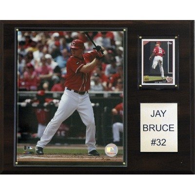 MLB Cincinnati Reds Jay Bruce Photo Player Plaque