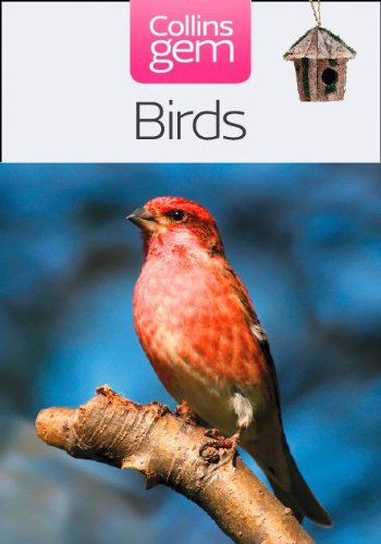 Birds (Collins Gem)