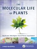 The Molecular Life of Plants
