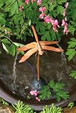 DripperFountain Dragonfly