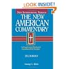 New American Commentary Vol. 21B: Zechariah