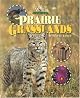 Prairie Grasslands (Our Wild World)