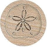 Sand Dollar Thirstystone Sandstone Coasters
