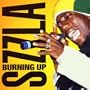Burning Up