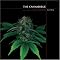 Beginning Marijuana Books