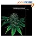 The Cannabible