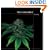 The Cannabible