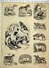 BLOOD HOUND DOGS DINGO BEAGLE AFRICAN MASTIFF CUBAN
