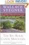 The Big Rock Candy Mountain (Contemporary American Fiction)