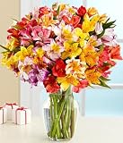 100 Blooms
