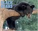 Book Black Bears 2008 Calendar