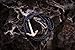 Anchor Bracelet by Be.You Company - Stainless Steel Gilded Anchors with Genuine Rope Weave - Best Men's Bracelet for Fashion & Style - Black Cord & Gold Anchor