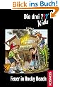 Die drei ???-Kids 23. Feuer in Rocky Beach (drei Fragezeichen)