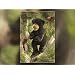 Folkmanis Black Bear Cub Puppet