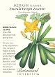 Summer Squash "Emerald Delight Zucchini" Seeds