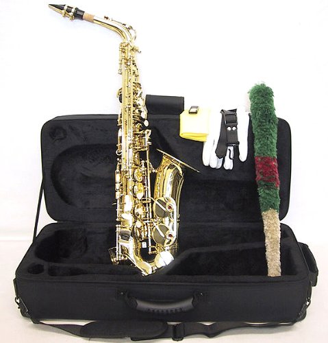 SKY Student Eb Alto Saxophone with Case and AccessoriesB004IMA718