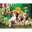 Mother & Puppies Jigsaw Puzzle 1000pc