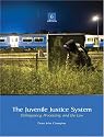 Juvenile Justice System, The (6th Edition)