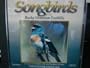 Songbirds of the Rocky Mountain Foothills