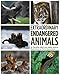 Extraordinary Endangered Animals