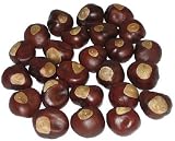 Buckeye Nuts - Dime Size - Thirty Nuts