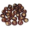 Buckeye Nuts - Dime Size - Thirty Nuts