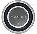 ROCKFORD FOSGATE P210D4 10" DVC WOOFER