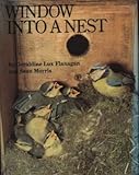 Window into a nest