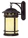Yosemite FL1025DN11 Desert Night Sahara Rustic / Country Two Light Down Lighting Larg...