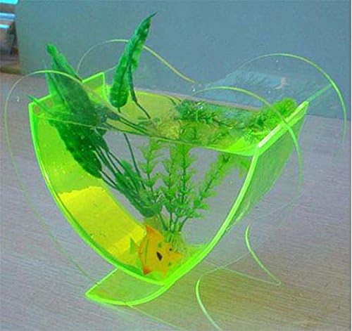 Transparent Acrylic Fish Bowl