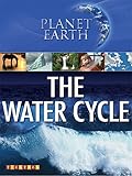 The water cycle