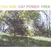 You Are Free [Vinyl LP]