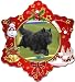 Belgian Sheepdog Porcelain Holiday Ornament